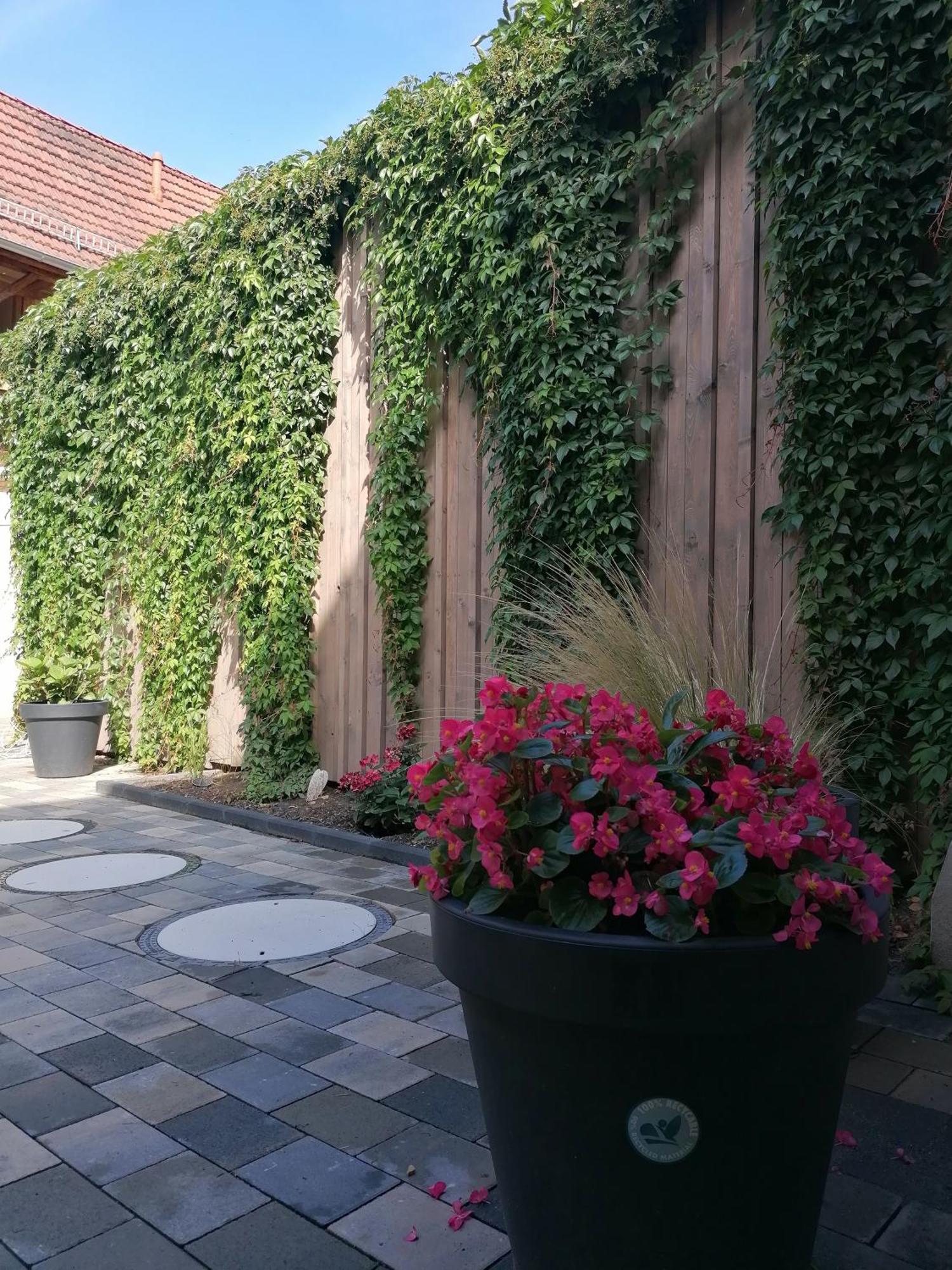 Ackerbuergerhof Ballstrasse 18 Quedlinburg Eksteriør bilde